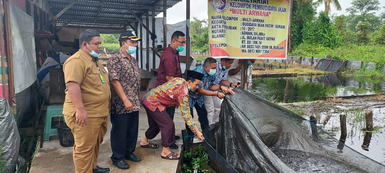 Anggota DPRD Labuhan Batu Sumut Pelajari Buat Pakan Ikan Murah di Rohil
